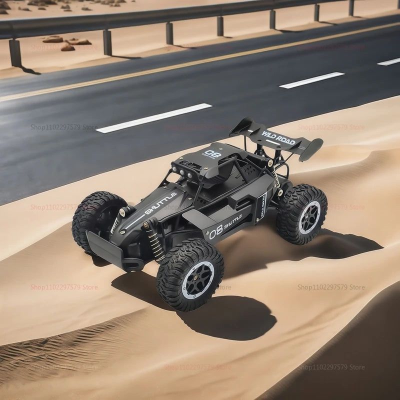 RC Cars 1:16 Remote Control Off-Road Car 2WD High Speed 20Km/h Climbing All Terrains Electric Toy Off Road RC Car Vehicle Trucks