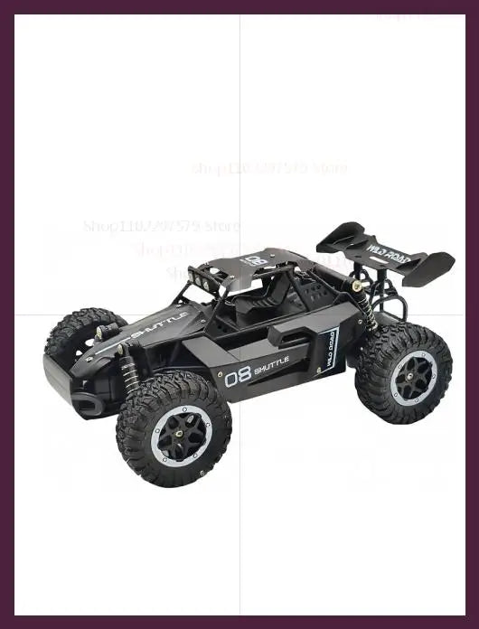 RC Cars 1:16 Remote Control Off-Road Car 2WD High Speed 20Km/h Climbing All Terrains Electric Toy Off Road RC Car Vehicle Trucks